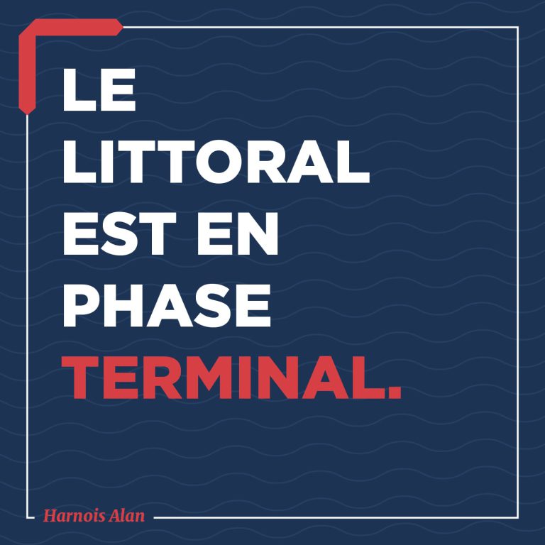 Lire la suite à propos de l’article 📢 Les slogans font la force.